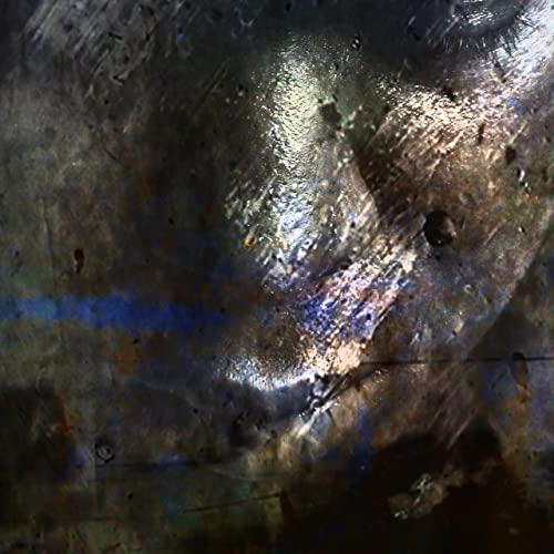 Every 2nd Counts (Digital)